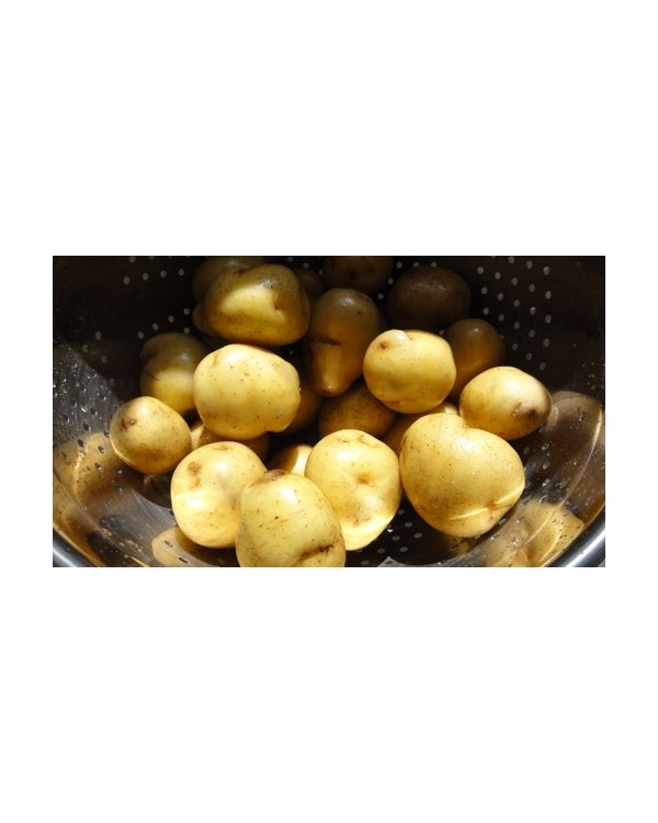 Baking Potatoes - 1Kg (washed)
