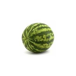 Seedless watermelon 2025