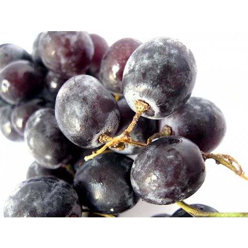 Black Seedless Grape - 500g