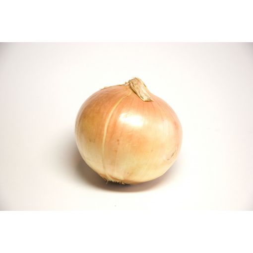 New Season English Onions (brown) - 500g