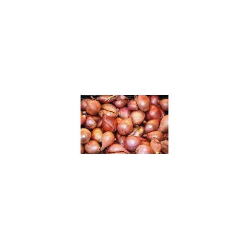 Shallots Onions - 500g