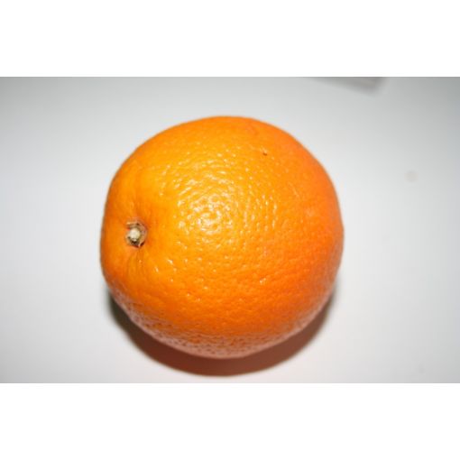 Large Oranges - 3 Pack