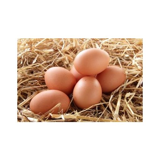 Medium sized Eggs (per half dozen)