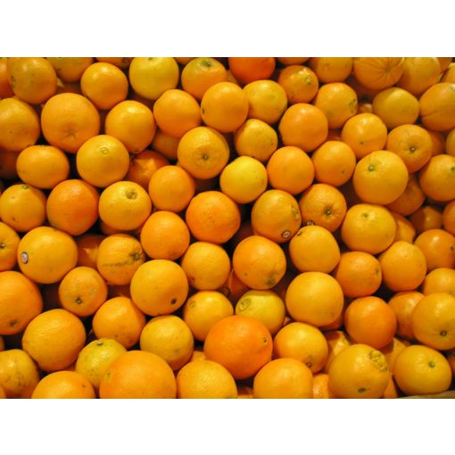 Oranges - 5 Pack 