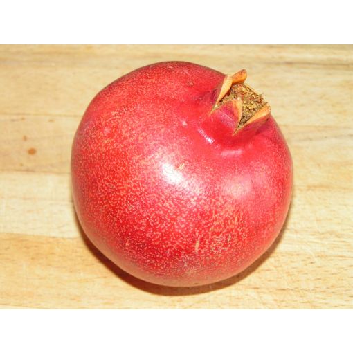 Pomegranate - 2 pack(Extra Large)