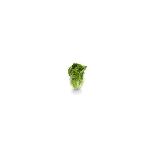 Local Grown Little Gem Lettuce - Pack of 2